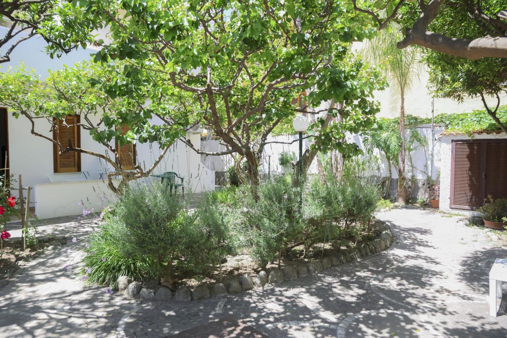 Hotel Cesotta Forio di Ischia Exteriör bild