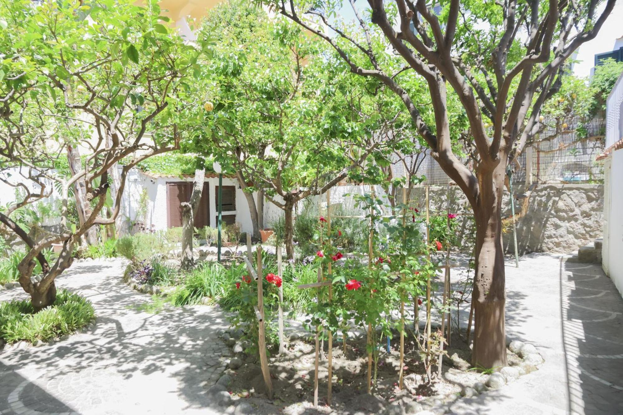 Hotel Cesotta Forio di Ischia Exteriör bild